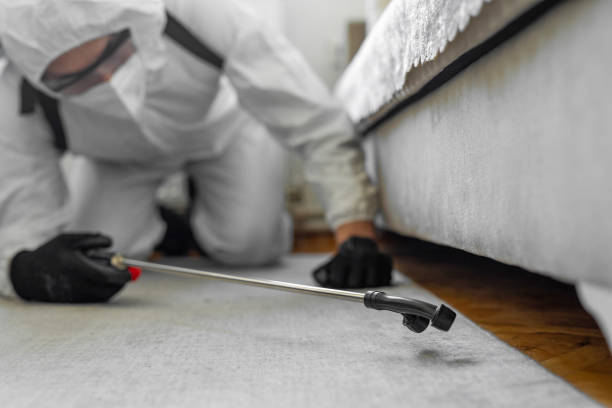 Professional Bed Bug Control technician working in Suffolk, VA