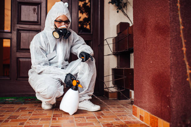 Reliable Bed Bug Control contractor in Suffolk, VA by Nex Pest Control